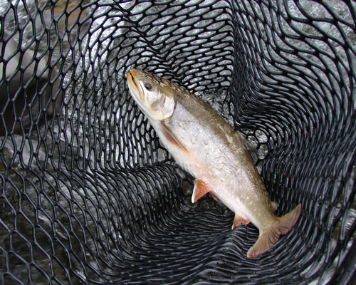 Kobuk River